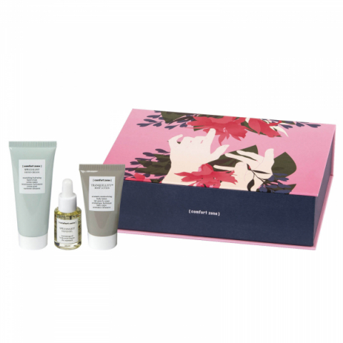 Comfort Zone Hand & Body Ritual Kit i gruppen Kropp / Kit & Paket hos Hudotekets Webshop (E2013 )